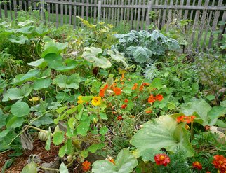 Jardin Potager